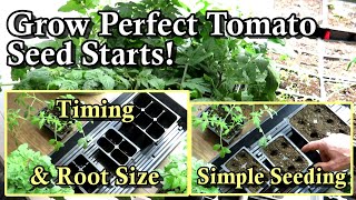 When to Start & How to Grow Tomato Seed Starts: How to Grow Garden Transplants Indoors: E-7 by Gary Pilarchik 6,101 views 4 months ago 11 minutes, 43 seconds