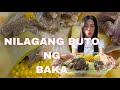 NILAGANG BUTO NG BAKA EPISODE SERYE