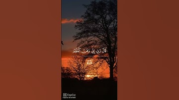 آيات من القرآن الكريم #اكسبلور #فولو #لايك #حالات_واتس #اكسبلورر #اكسبلورفولو