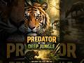 The Silent Predator of the Deep Jungle 🐅#shorts