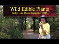 Wild Edible Plants • Kathy Dice Class • September 2015 • Fairfield, Iowa