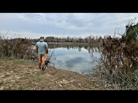 КАРАСИ на реке Чирчик отдых на природе