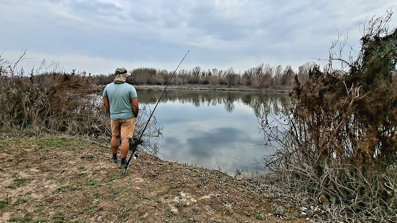 КАРАСИ на реке Чирчик отдых на природе