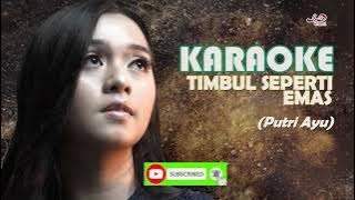 Karaoke HD Timbul seperti Emas _ Putri Ayu Lengkap Lirik