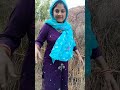 bitoda Kase bhandte h live dekhe #youtube #villagelife #village #villagevlog #cowdung #teamwork #yt