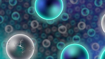 250 Subscriber Special Request Window Rules