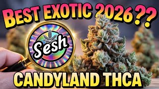 Sherlock's Glass THCa Review:Candyland Best Exotic Flower 2026?