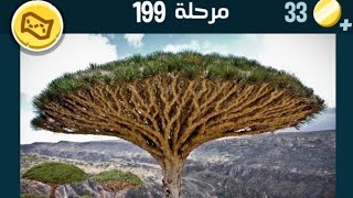 كلمات كراش 199 كلمات كراش المرحلة ١٩٩