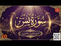 سورة يس قلب القرآن وقصص العبر الشيخ عمار ياسر المنصوري    