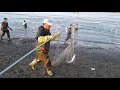 연어 잡으러  Kasilof ALASKA Salmon Dipnetting 한상석