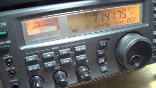 Field Day 2013 AA2DC on 40 meters