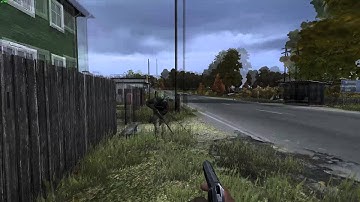 DayZ Standalone.  Makarov + Bolota = -