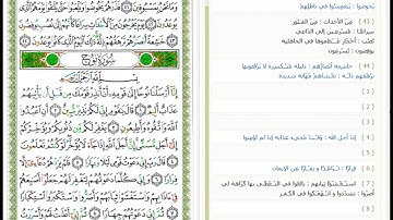 Surat Nuh - 71 - القرآن الكريم بصوت أبو بكر الشاطري  - سورة نوح