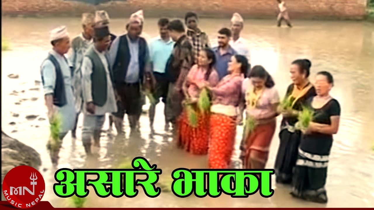 Nepali Asare Geet || Asare Bhaka || असारे भाका |…