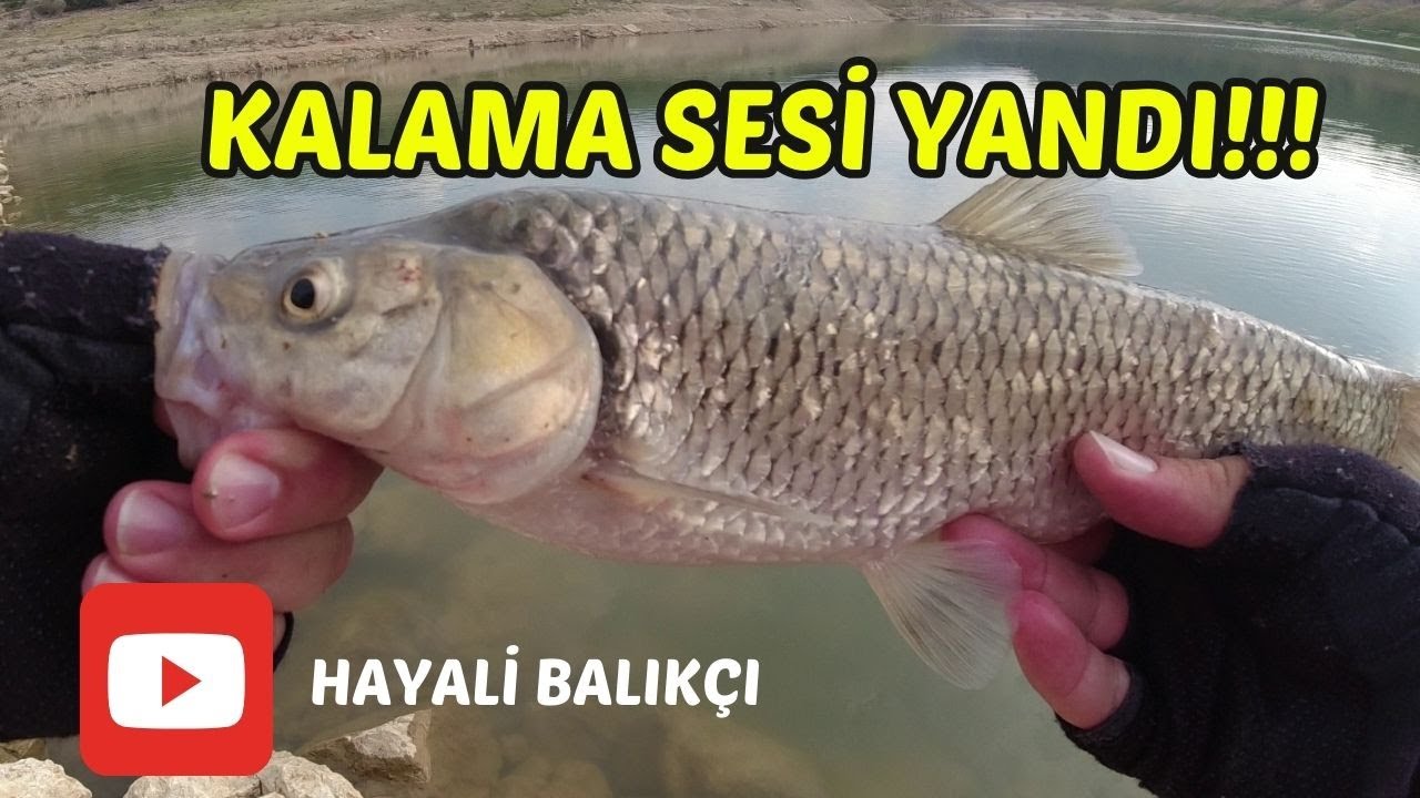 KASNA AVI!!! - İNCE TAKIMDA KALAMA SESİNE DOYDUK -