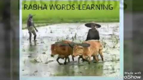 Rabha Words-learning