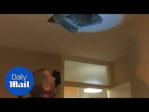 Man tries to hide from police in attic but falls through roof