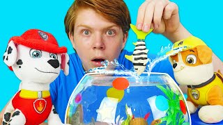 Jeux avec la Pat Patrouille. Qui va nager dans l'aquarium? Les animaux de mer en français.