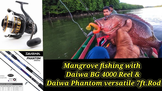 daiwa phantom reel - Buy daiwa phantom reel at Best Price in