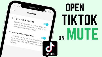 Open TikTok on Mute (2023)