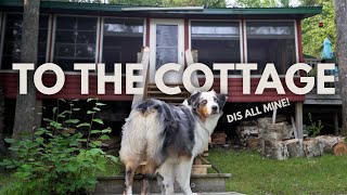 My Dog Rents A Cottage!