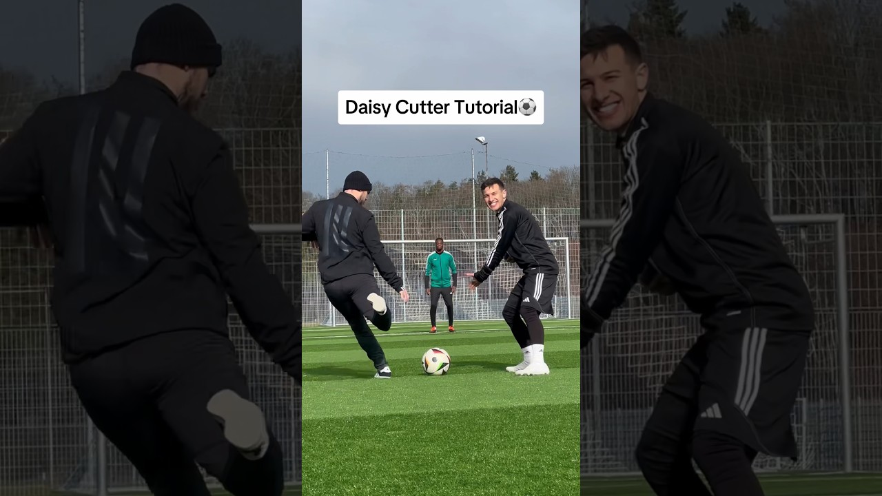 DAISY CUTTER TUTORIAL