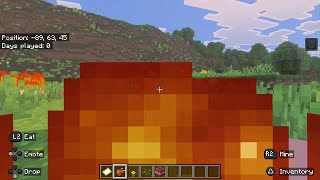 Minecraft Lava Chicken Explosion