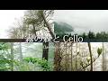霧の森とクラシカル・チェロ｜信州安曇野（自然映像とBGM/心身浄化・癒し）classical cello