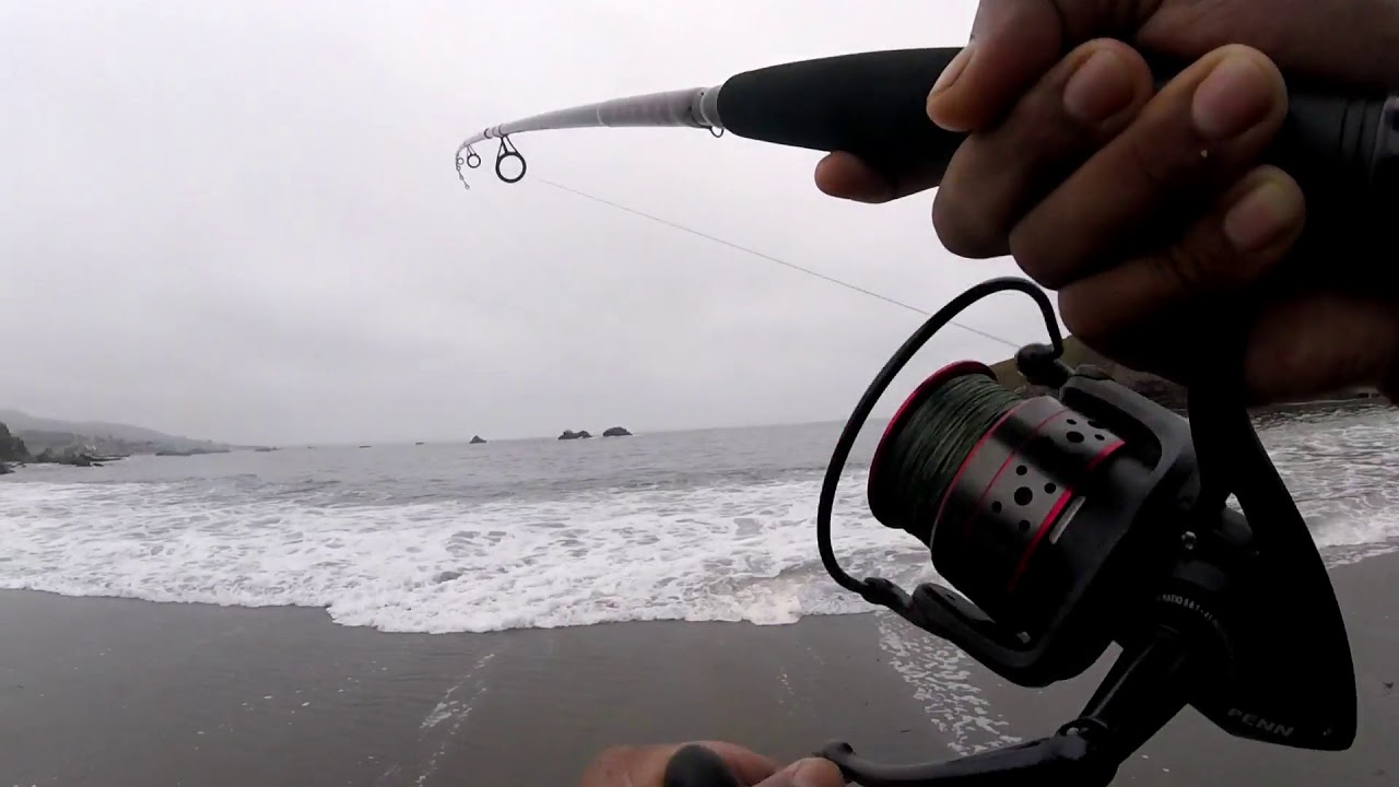 Surf Perch Fishing With Sand Crabs 
