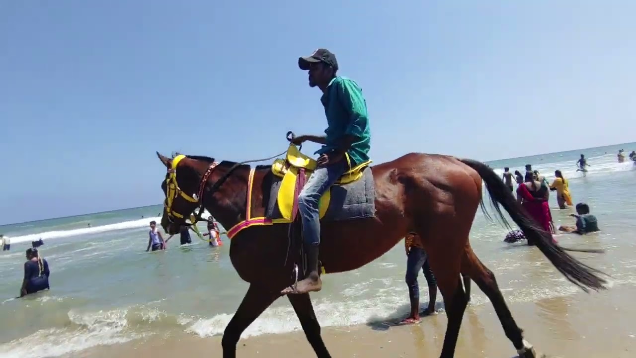 Fun at Mahabalipuram Beach