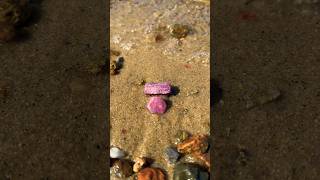 Ruby Record Keeper Net Worth