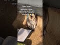 #ভালোবাসা!🥰 #viralvideo #viral #video #love
