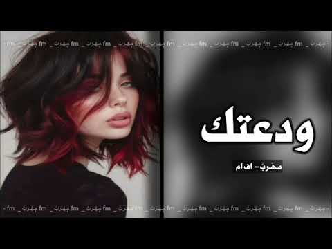 عراقي 2024 ودعتك انا بليل 