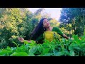Thuphom Nesengve // Cover Video // Prem Terang & Mirmily Rongpipi Mp3 Song