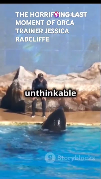 Viral Video Deception: Jessica Radcliffe, Orcas, And The Ai Age! - cmz6h0c