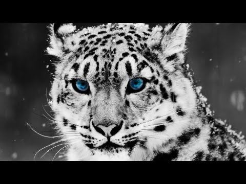 Hard Newschool Hip-Hop Rap Instrumental Beat 2018