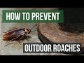 How to Prevent Outdoor Roach Invasions