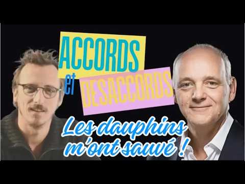 LOUIS AND THE DOLPHINS Agreements & Disagreements - Episode 7