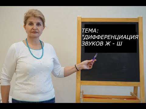 Лексико-грамматическое занятие по теме: "Дифференциация звуков Ж - Ш"