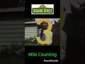 Milo Counting: 4 - #shorts