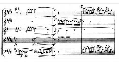 Carl Nielsen - Wind Quintet Op.43 I. Allegro Ben Moderato (w/score)