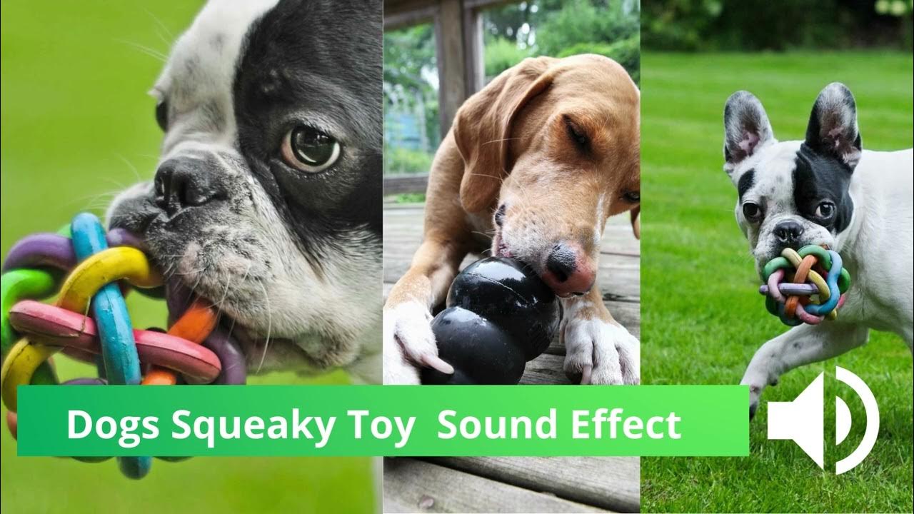 Dogs Squeaky Toy Sound Effect YouTube