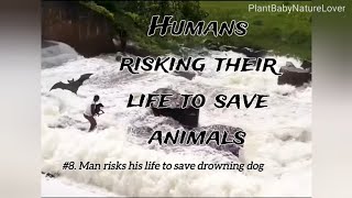 Risking Their Lives: 14 Hilarious Human-Animal Moments #animals #nature #humanity