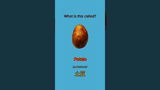 99% People Don’t Know These Object Names 😱 #facts part 5