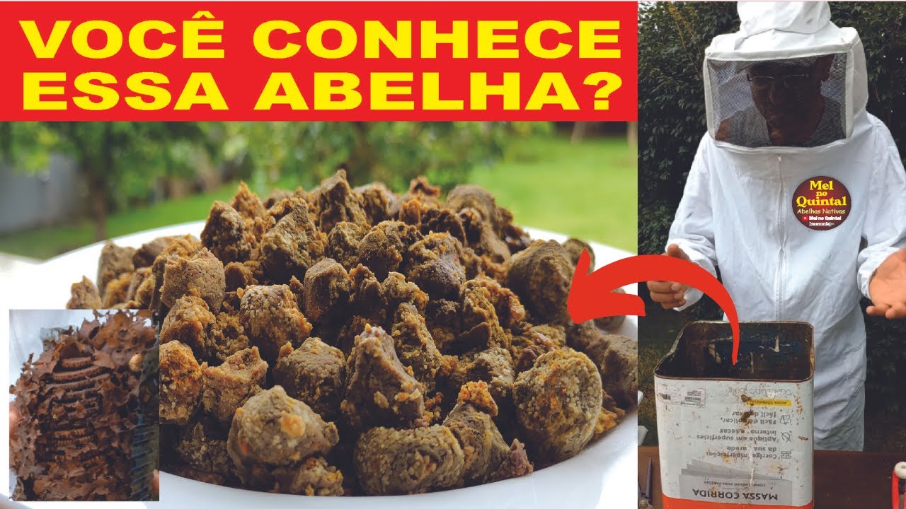 FÁBRICA DE SAMBURÁ (PÓLEN), essa você tem que conhecer!