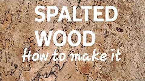 HOW TO MAKE SPALTED WOOD #howto #woodworking #diy