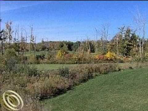Real estate for sale at 2056 Shane Addison Twp Michigan 48367 - for more info visit vt.realbiz360.com