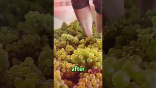 Chinese Grape Juice#shorts #goodthing