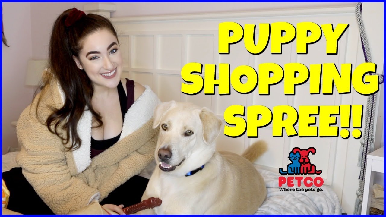 Taking My DOG on a SHOPPING SPREE! YouTube