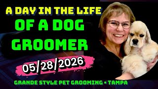 A DAY in the LIFE of a DOG GROOMER at Grande Style Dog Grooming  in Tampa, Florida. #dogs #cutedogs